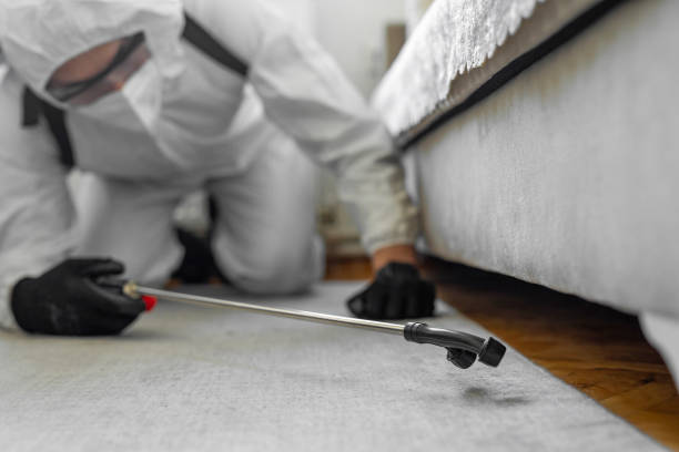 Professional Bed Bug Control technician working in Warm Springs, OR