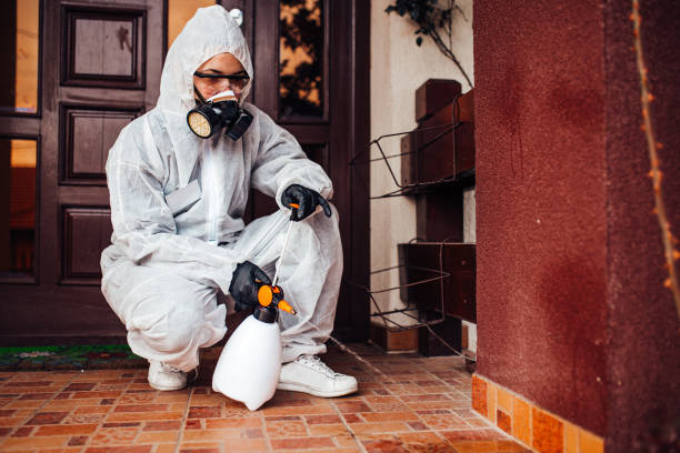 Reliable Bed Bug Control contractor in Warm Springs, OR by Nex Pest Control
