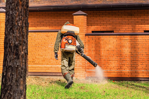 Trusted Termite Control service in Warm Springs, OR - Nex Pest Control